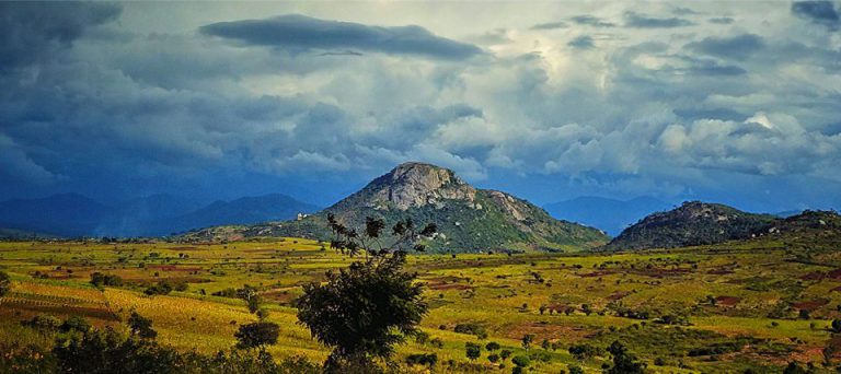 REGISTRY SNAPSHOT: Tanzania Clinical Trials Registry (TzCTR)