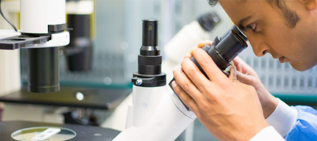 A researcher looking into a microscope in a laboratory